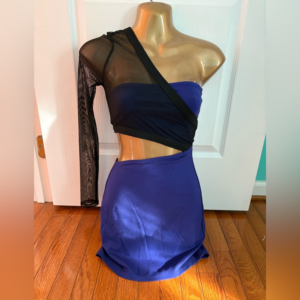 h:ours Vibrant Purple and black mesh Dress